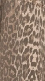 Vox Mini Dress - Leopard Print Billy J